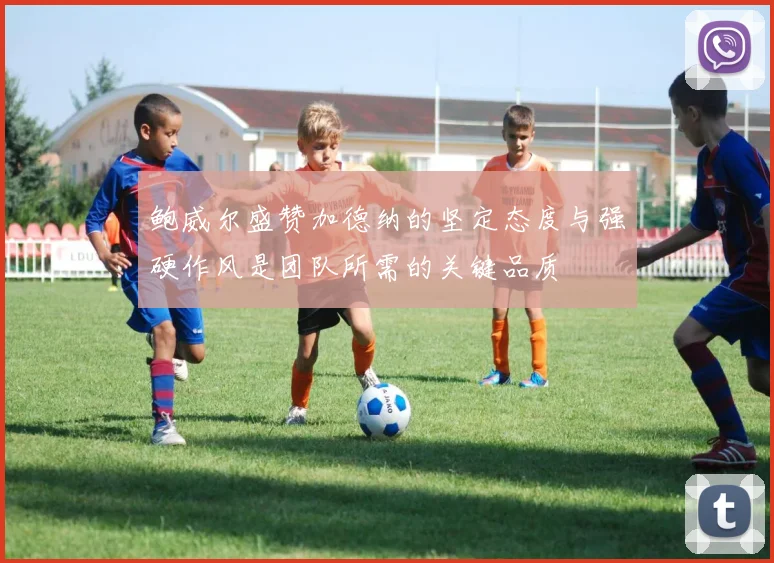 鲍威尔盛赞加德纳的坚定态度与强硬作风是团队所需的关键品质