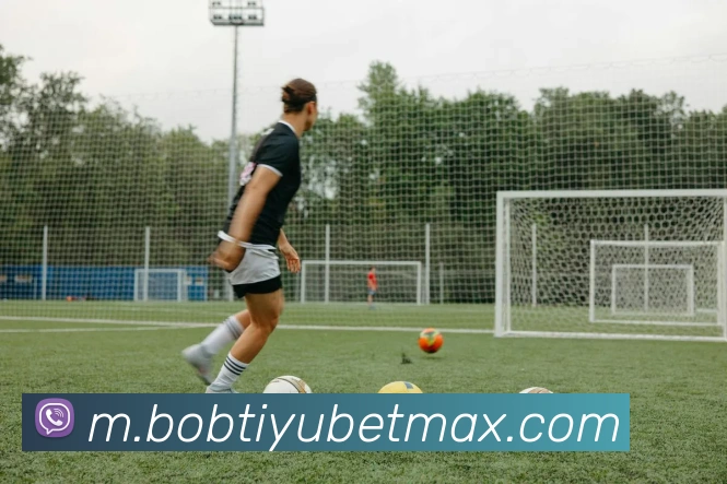 BOB体育发展历程